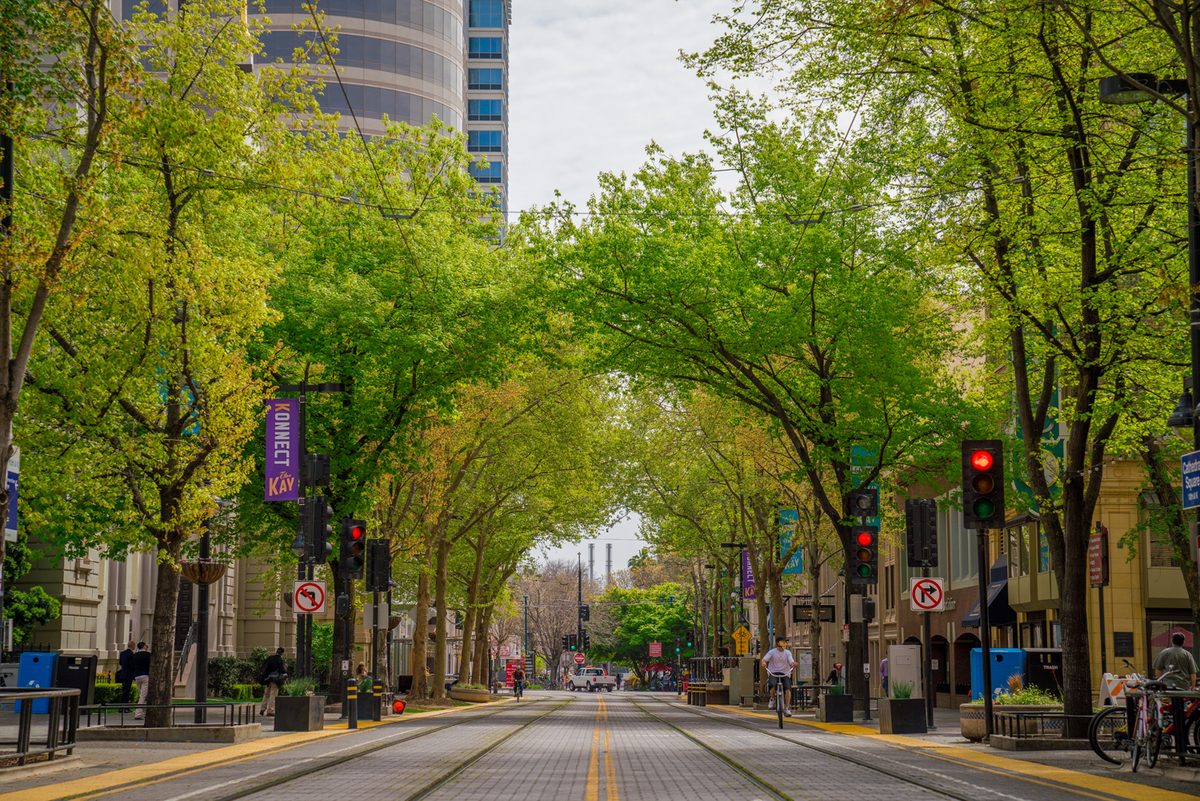 Tree-lined streets in a Sacramento-area neighborhood
